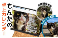 【 SNSで人気の猫 / 糸島観光大使】2023年 「 もんたの日常 」 卓上 カレンダー  糸島市 / Basismall  猫 ネコ 観光大使 [AXL004]