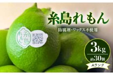 【防腐剤・ワックス不使用】糸島れもん A 3kg（30個前後） 糸島市 / 株式会社 糸島れもん [AYL001] 国産 レモン