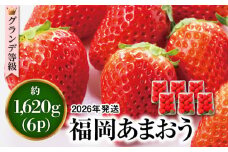 【先行予約】あまおう いちご 1,620g ( 約 270g × 6パック ) 【2026年3月初旬より順次発送】 糸島市 / 株式会社HSP-テクノ [AZL002] グランデ 等級 福岡県産