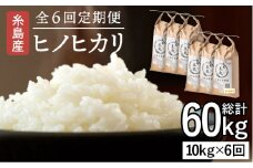 【全6回定期便】糸島産 ヒノヒカリ 10kg×6回 糸島市 / 糸島王丸農園 ( 谷口汰一 )【いとしまごころ】 [AAZ016]