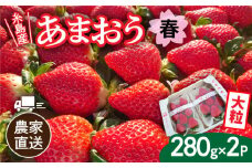 【先行予約】【農家直送！】糸島産 春 あまおう 280g × 2パック  (DXまたはGサイズ) 【2026年2月上旬以降順次発送】  糸島市 / 後藤農園 [AML004] いちご 福岡