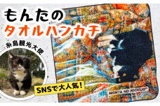 【 SNSで人気の猫 / 糸島観光大使】【 もんた 】 タオル ハンカチ 糸島市 / Basismall はんかち 今治 タオル [AXL005]