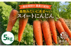 【2023年7月以降順次発送】【栽培期間中 農薬不使用！】スイート にんじん 5kg ×1箱 糸島市 / 農香美人 [AAG055] 人参