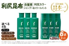 【ブラック】[色が選べる！6本セット]利尻カラーシャンプー＋利尻ヘアカラートリートメント 糸島市 / 株式会社ピュール [AZA037-1]