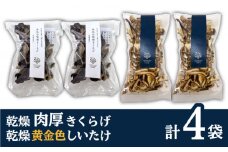 乾燥 肉厚 国産 きくらげ ＋ 乾燥 黄金色 しいたけ 各2袋セット 糸島市 / きのこファーム [AFC006]