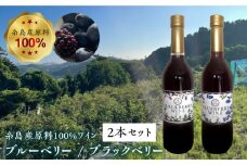 糸島産 ブルーベリー ＆ ブラックベリー ワイン 720ml×2種 セット 糸島市 / HYM FARM [AHM001]