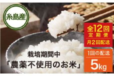 【全12回（月2回）定期便】栽培期間中 農薬不使用のお米 ヒノヒカリ 5kg 糸島市 / シーブ [AHC058]