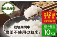 【全12回（月2回）定期便】栽培期間中 農薬不使用のお米 ヒノヒカリ 10kg 糸島市 / シーブ [AHC059]