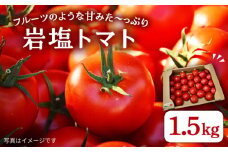 甘みたっぷり 岩塩トマト 約1.5kg 糸島市 / シーブ [AHC060] 野菜 とまと 甘い 中玉トマト ミディトマト