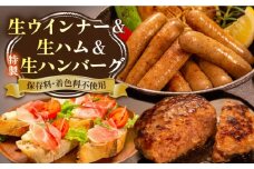 特製 生ハンバーグ 生ハム 生ウインナー 3種 セット 糸島市 / 志摩スモークハウス[AOA028] 肉 加工品
