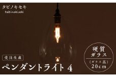 【配線ダクトレール用プラグ】ペンダント ライト 4 （ガラス 高20cm） 糸島市 / タビノキセキ [ADB037-2]