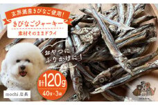 きびなご ジャーキー 40g×3袋  糸島市 / 株式会社コバヤシ【coco.kina】 [ASL009]