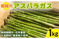 【先行予約】栽培期間中農薬不使用！ 朝採れのアスパラガス 1kg 【2025年6月上旬以降順次発送】糸島市 / 髙橋農園 [ANM001]