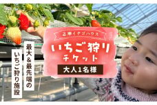 【志摩イチゴハウス】いちご狩り チケット （ 大人 1名様 分 ） 糸島市 / 株式会社 糸島農園 [APM001]