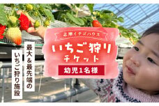 【志摩イチゴハウス】いちご狩り チケット （ 幼児 1名様 分 ） 糸島市 / 株式会社 糸島農園 [APM003]