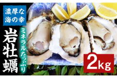 岩牡蠣2kg（6～10個）≪糸島市≫【ケンちゃんカキ】牡蠣/カキ/岩牡蠣 /糸島カキ [AOI002]