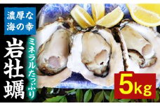 岩牡蠣5kg（15～25個）≪糸島市≫【ケンちゃんカキ】牡蠣/カキ/岩牡蠣 /糸島カキ [AOI003]