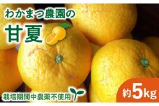 【先行予約】【有機栽培】甘夏 5kg 栽培期間中 農薬不使用 【2025年5月中旬ごろ順次発送】糸島市 / わかまつ農園 [AHB050] 果物 フルーツ