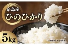 ＼令和6年産／糸島産 ひのひかり 5kg 糸島市 / 糸島ファーム青空 [ASM003] 白米 ヒノヒカリ