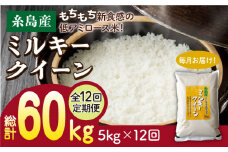 【白米】【全12回定期便】ミルキークイーン 5kg 糸島市 / 玄米・精米専門店 新飼宗一郎商店 米 白米 [ADE014]