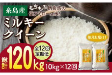 【玄米】【全12回定期便】ミルキークイーン 10kg （ 5kg × 2袋 ） 糸島市 / 玄米・精米専門店 新飼宗一郎商店 米 白米 [ADE016]