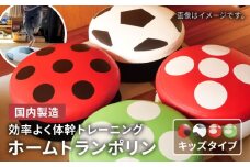 【ボール】ホームトランポリン キッズタイプ 糸島市 / 未来航路 クッション インテリア [AAB008-2]