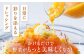 ドレッシング セット ボトル ギフト 無添加 人気 野菜 にんじん
