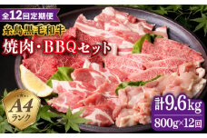 【全12回定期便】焼肉・バーベキュー セット 計800g 牛モモ 牛バラ 豚バラ 豚肩ロース 鶏もも肉 糸島市 / 糸島ミートデリ工房 [ACA274]