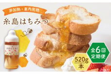 【全6回定期便】糸島 はちみつ 520g 糸島市 / ヴァンベールフーズ /百花 / 蜂蜜 [AFJ006]