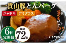 【全6回定期便】一貴山豚 とんバーグ 12個（ 6個 × 2種 ） 糸島市 / いきさん牧場 [AGB014]