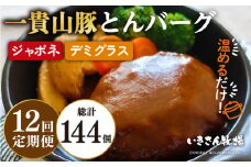 【全12回定期便】一貴山豚 とんバーグ 12個（ 6個 × 2種 ） 糸島市 / いきさん牧場 [AGB015]