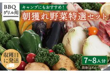 ☆キャンプにもおすすめ☆バーベキュー・グリル用朝獲れ野菜特選セット【福岡県糸島産】(たっぷり7〜8人分) 糸島市 / オーガニックナガミツファーム 野菜 詰め合わせ [AGE039]