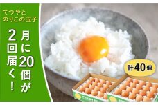 《月2回 × 20個 1ヶ月コース》 【7日・21日ごろ出荷】てつやとのりこの玉子  全2回定期便 糸島市 / 板垣ファーム  卵 たまご 玉子 鶏卵 卵かけご飯 便利 定期便 定期購入  [AWD011-1]