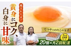 《月2回 × 20個  3ヶ月コース》【15日・30日ごろ出荷】卵 てつやとのりこの玉子  全6回定期便 糸島市 / 板垣ファーム 卵 たまご 玉子 鶏卵 卵かけご飯 便利 定期便 定期購入 [AWD012-2]