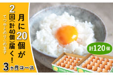 《月2回 × 20個  3ヶ月コース》【7日・21日ごろ出荷】卵 てつやとのりこの玉子  全6回定期便 糸島市 / 板垣ファーム 卵 たまご 玉子 鶏卵 卵かけご飯 便利 定期便 定期購入 [AWD012-1]
