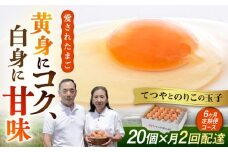 《月2回 × 20個  6ヶ月コース》 【15日・30日ごろ出荷】卵 てつやとのりこの玉子  全12回定期便 糸島市 / 板垣ファーム 卵 たまご 玉子 鶏卵 卵かけご飯 便利 定期便 定期購入 [AWD013-2]