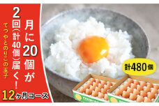 《月2回 × 20個 × 12ヶ月コース》【7日・21日ごろ出荷】てつやとのりこの玉子  全24回定期便 糸島市 / 板垣ファーム 卵 たまご 玉子 鶏卵 卵かけご飯 便利 定期便 定期購入 [AWD014-1]