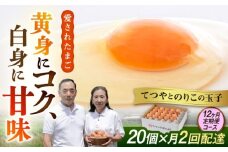 《月2回 × 20個 × 12ヶ月コース》【7日・21日ごろ出荷】てつやとのりこの玉子  全24回定期便 糸島市 / 板垣ファーム 卵 たまご 玉子 鶏卵 卵かけご飯 便利 定期便 定期購入 [AWD014-1]