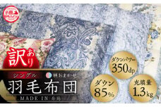【赤系】【訳あり】【 糸島 羽毛 ふとん 】羽毛 布団 柄おまかせ ダウン85％【シングル】糸島市 / 株式会社三樹  [AYM004-1] 本掛け 羽毛布団