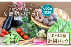【全3回定期便】旬を味わう 糸島 野菜 セット 10～14種 （14パック） / イタリア野菜 オーガニック 野菜ソムリエ 松永 糸島市 / vegeLabo [AJB004]