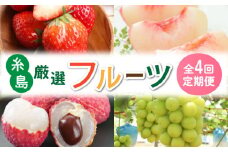 【全4回】糸島厳選くだもの定期便 約2人前 フルーツ 果物 糸島市 / やますえ あまおう シャインマスカット 桃 ライチ [AKA071] ランキング 上位 人気 おすすめ