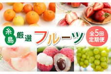 【全5回】糸島厳選くだもの定期便 約2人前 フルーツ 果物 糸島市 / やますえ あまおう シャインマスカット 桃 ライチ [AKA072]