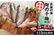 【全12回定期便】塩 にも こだわり 玄海 の 海 旬 の 干物 大満足 セット ( 5～6人 向け ) 糸島市 / 福ふくの里 [ALD010]