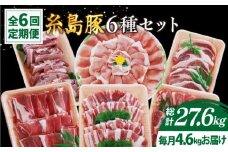 【全6回定期便】計4.6kg！糸島豚 食べ尽くしセット ( とんかつ / 肩ロース / しゃぶしゃぶ / 豚バラ / スペアリブ / 小間切れ ) 糸島市 / トラヤミートセンター [AJD013]