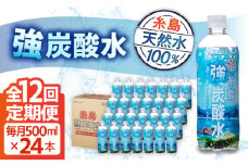 【全12回定期便】強炭酸水 プレーン 500ml × 24本  糸島市 / スターナイン 炭酸水 国産 [ARM011]