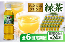 【全6回定期便】八女 玉露入り 緑茶 500ml × 24本  糸島市 / スターナイン お茶 ペットボトル [ARM016]