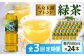 緑茶 ペットボトル 500ml × 24本