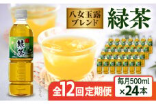 【全12回定期便】八女 玉露入り 緑茶 500ml × 24本  糸島市 / スターナイン お茶 ペットボトル [ARM017]