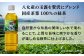 緑茶 ペットボトル 500ml × 24本