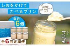 【全6回定期便】しおが主役 しおをかけてたべる プリン 花塩 プレーン 6個 セット 糸島市 / またいちの塩 [AEB008]